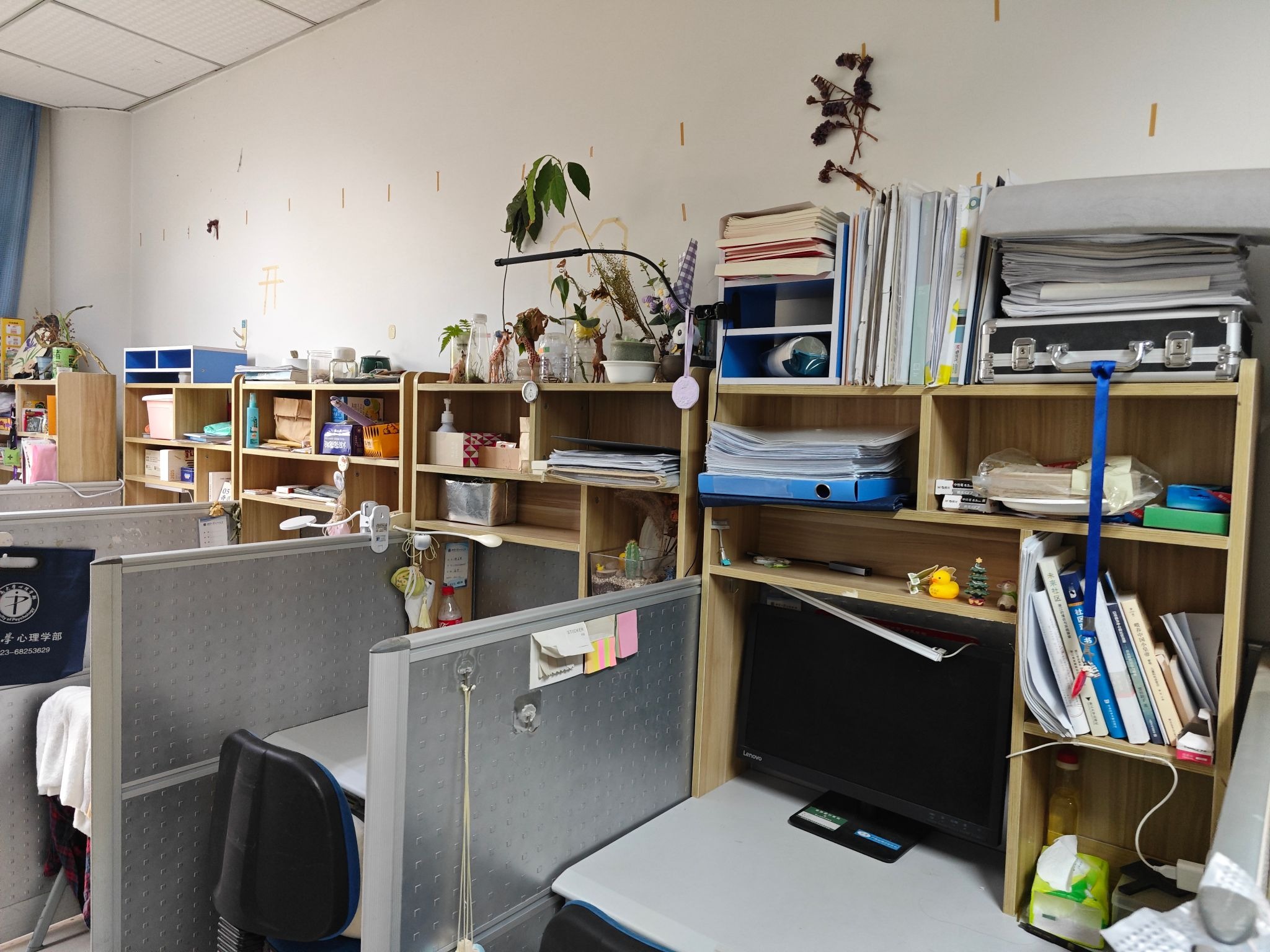 365上市公司(英国)集团